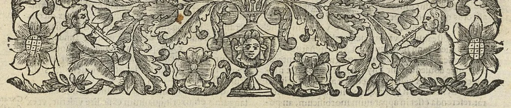 An illustration from De rara medicatione vulnerum,...libri duo..., 1676, leaf 212