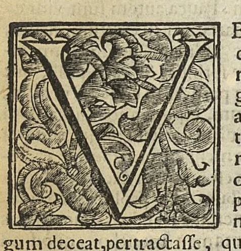 An illustration from De rara medicatione vulnerum,...libri duo..., 1676, leaf 212