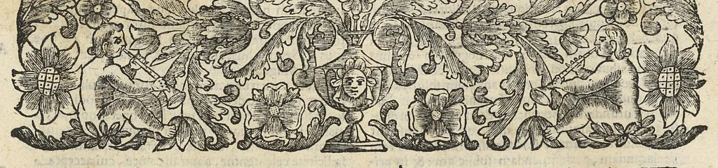 An illustration from De rara medicatione vulnerum,...libri duo..., 1676, leaf 344