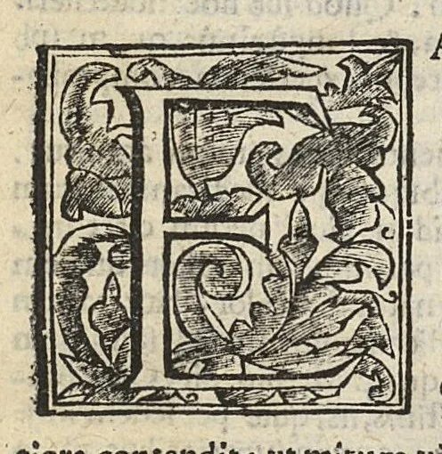 An illustration from De rara medicatione vulnerum,...libri duo..., 1676, leaf 344