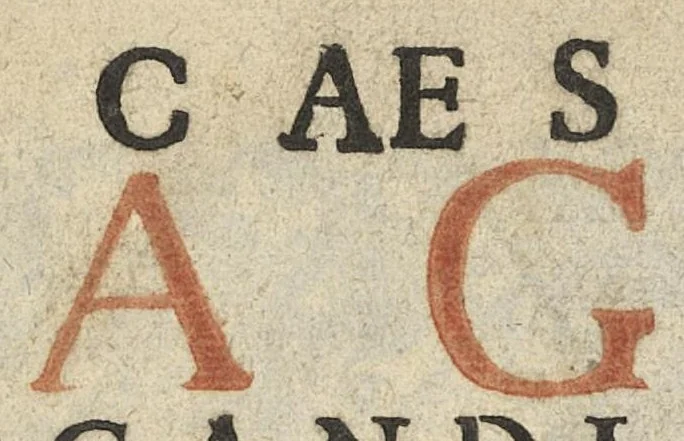 An illustration from De rara medicatione vulnerum,...libri duo..., 1676, leaf 4