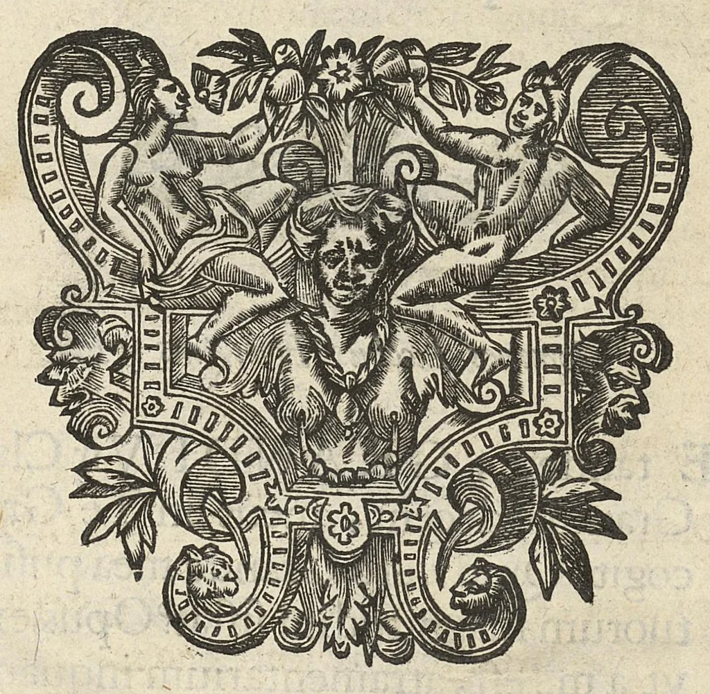 An illustration from De rara medicatione vulnerum,...libri duo..., 1676, leaf 7