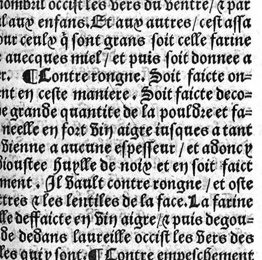 An illustration from Le Jardin de sante translaté de latin en françoys, 1539, leaf 274