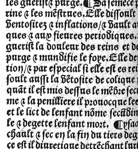 An illustration from Le Jardin de sante translaté de latin en françoys, 1539, leaf 305