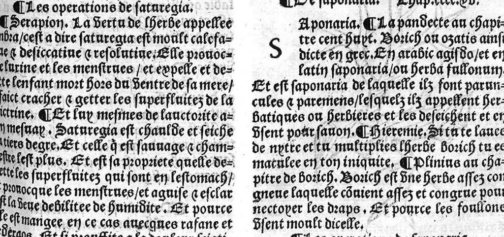 An illustration from Le Jardin de sante translaté de latin en françoys, 1539, leaf 378