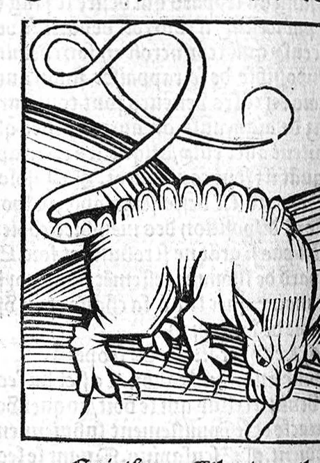 An illustration from Le Jardin de sante translaté de latin en françoys, 1539, leaf 579