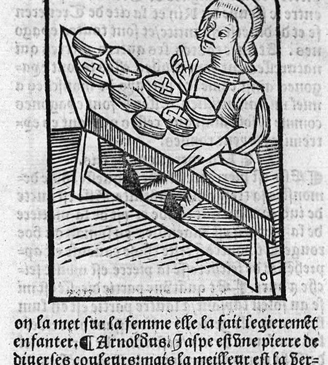 An illustration from Le Jardin de sante translaté de latin en françoys, 1539, leaf 772