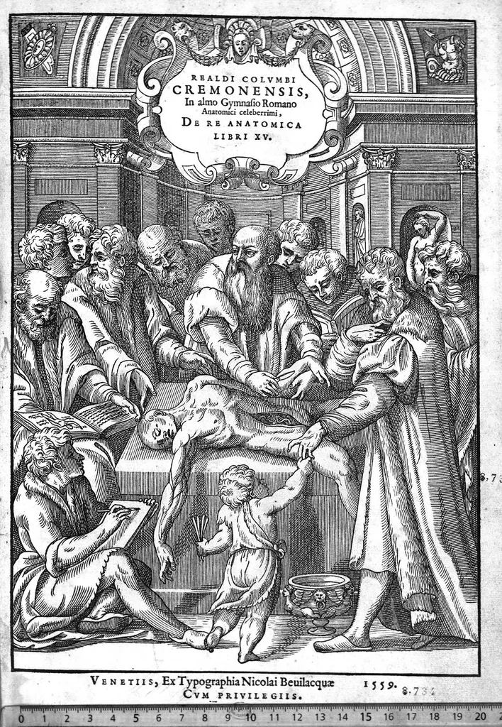 An illustration from De re anatomica libri XV, 1559, leaf 0