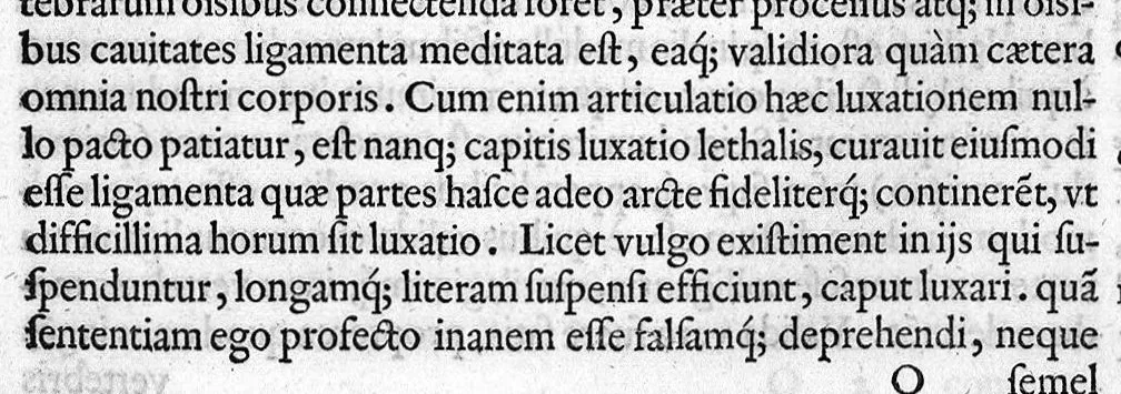 An illustration from De re anatomica libri XV, 1559, leaf 112