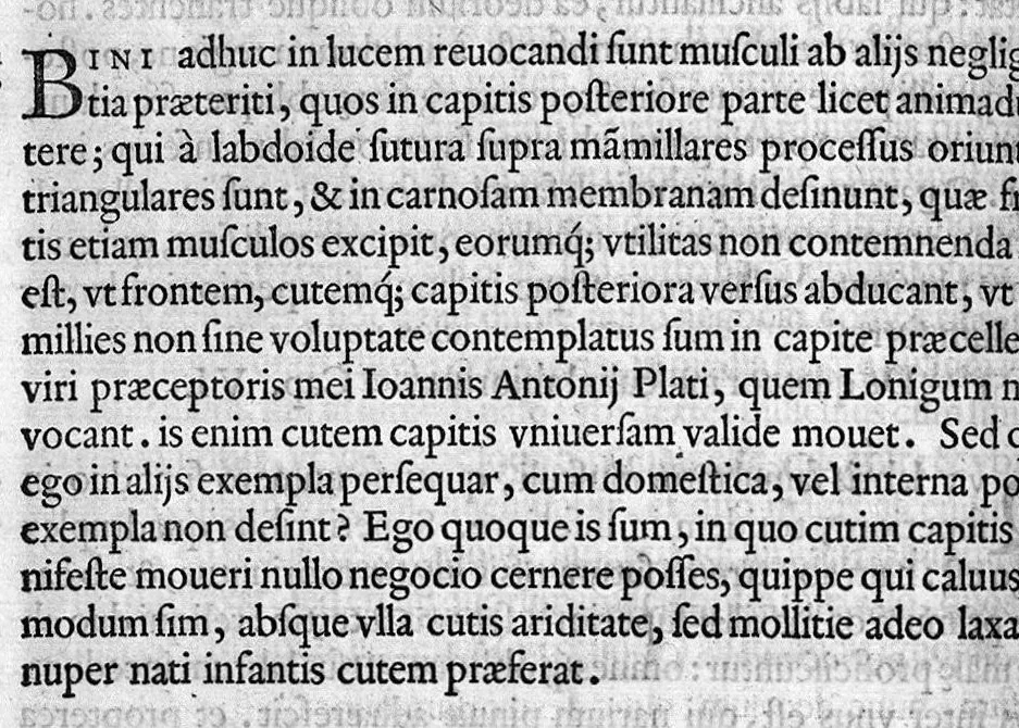 An illustration from De re anatomica libri XV, 1559, leaf 129