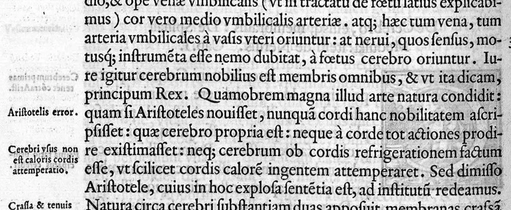 An illustration from De re anatomica libri XV, 1559, leaf 195