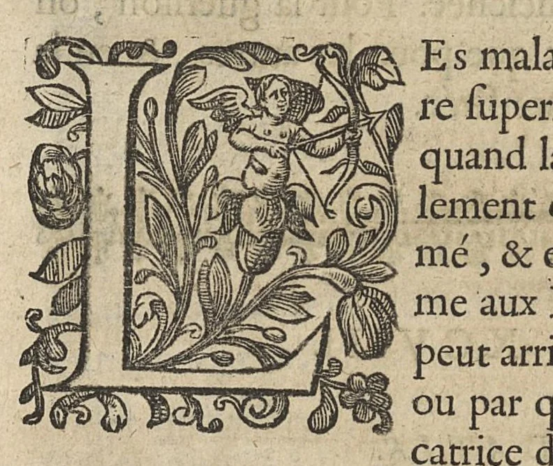 An illustration from Oeuvres...contenant un traité des operations de chirurgie, un traité des tumeurs, & un dictionnaire etymologique de mots grecs sevans à la médecine, recueillies par maistre Guillaule Parthon, 1658, leaf 151