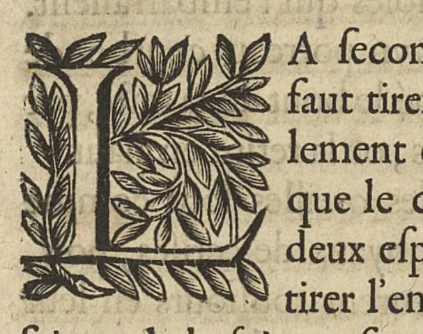 An illustration from Oeuvres...contenant un traité des operations de chirurgie, un traité des tumeurs, & un dictionnaire etymologique de mots grecs sevans à la médecine, recueillies par maistre Guillaule Parthon, 1658, leaf 189