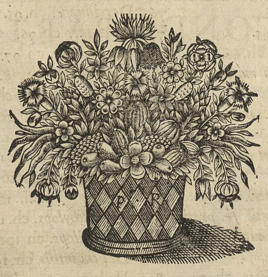 An illustration from Oeuvres...contenant un traité des operations de chirurgie, un traité des tumeurs, & un dictionnaire etymologique de mots grecs sevans à la médecine, recueillies par maistre Guillaule Parthon, 1658, leaf 27