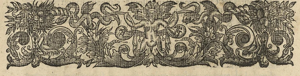 An illustration from Oeuvres...contenant un traité des operations de chirurgie, un traité des tumeurs, & un dictionnaire etymologique de mots grecs sevans à la médecine, recueillies par maistre Guillaule Parthon, 1658, leaf 32