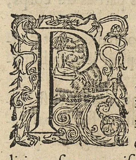 An illustration from Oeuvres...contenant un traité des operations de chirurgie, un traité des tumeurs, & un dictionnaire etymologique de mots grecs sevans à la médecine, recueillies par maistre Guillaule Parthon, 1658, leaf 32
