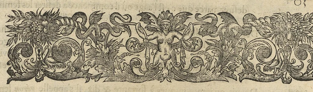 An illustration from Oeuvres...contenant un traité des operations de chirurgie, un traité des tumeurs, & un dictionnaire etymologique de mots grecs sevans à la médecine, recueillies par maistre Guillaule Parthon, 1658, leaf 592