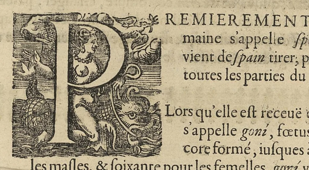An illustration from Oeuvres...contenant un traité des operations de chirurgie, un traité des tumeurs, & un dictionnaire etymologique de mots grecs sevans à la médecine, recueillies par maistre Guillaule Parthon, 1658, leaf 592