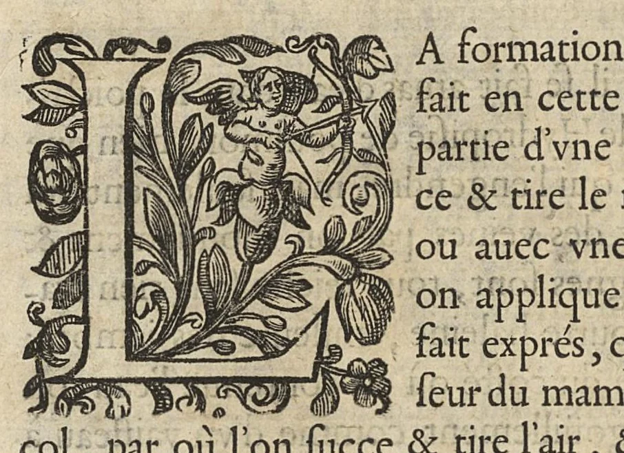 An illustration from Oeuvres...contenant un traité des operations de chirurgie, un traité des tumeurs, & un dictionnaire etymologique de mots grecs sevans à la médecine, recueillies par maistre Guillaule Parthon, 1658, leaf 75