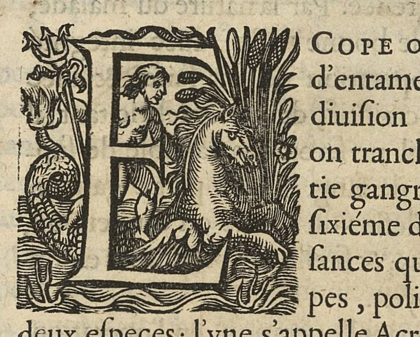 An illustration from Oeuvres...contenant un traité des operations de chirurgie, un traité des tumeurs, & un dictionnaire etymologique de mots grecs sevans à la médecine, recueillies par maistre Guillaule Parthon, 1658, leaf 76