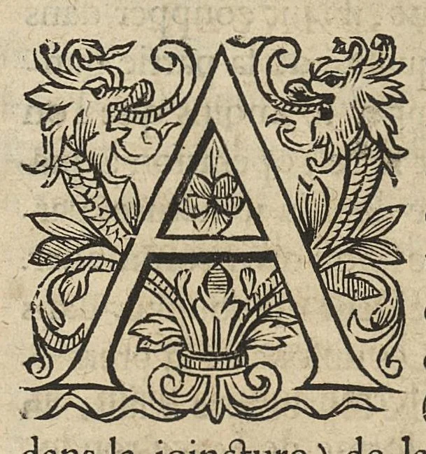 An illustration from Oeuvres...contenant un traité des operations de chirurgie, un traité des tumeurs, & un dictionnaire etymologique de mots grecs sevans à la médecine, recueillies par maistre Guillaule Parthon, 1658, leaf 76