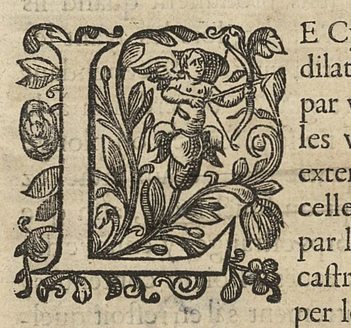 An illustration from Oeuvres...contenant un traité des operations de chirurgie, un traité des tumeurs, & un dictionnaire etymologique de mots grecs sevans à la médecine, recueillies par maistre Guillaule Parthon, 1658, leaf 95
