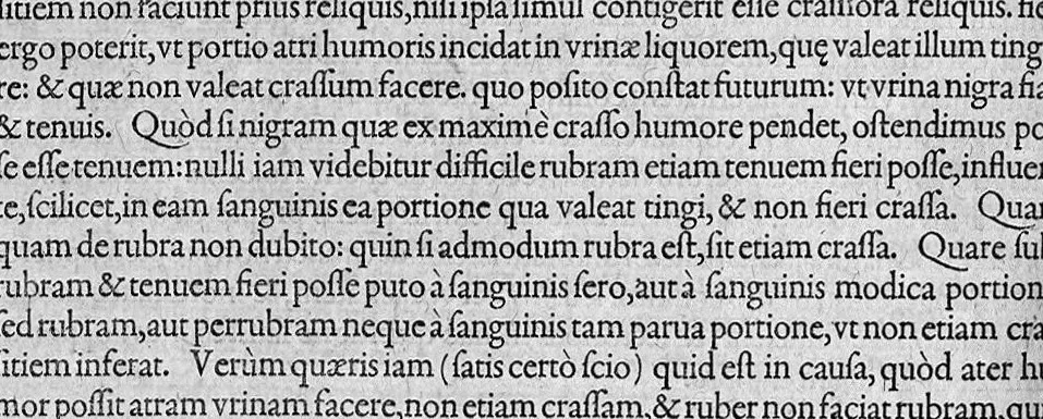 An illustration from Controversiarum medicarum et philosophicarum libri decem., 1582, leaf 165