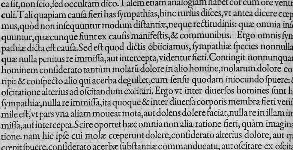 An illustration from Controversiarum medicarum et philosophicarum libri decem., 1582, leaf 213