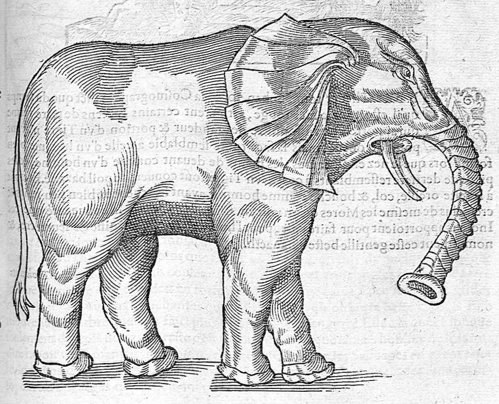 An illustration from Les Oeuvres d’Ambroise Paré, conseiller et premier chirurgien du roy, divisées en vingt-sept livres : avec les figures et portraicts tant de l’Anatomie que des instruments de chirurgie et de plusieurs monstres : reveuz et augmentez par l’autheur pour la seconde Edition, Paris,, 1579, leaf 1017