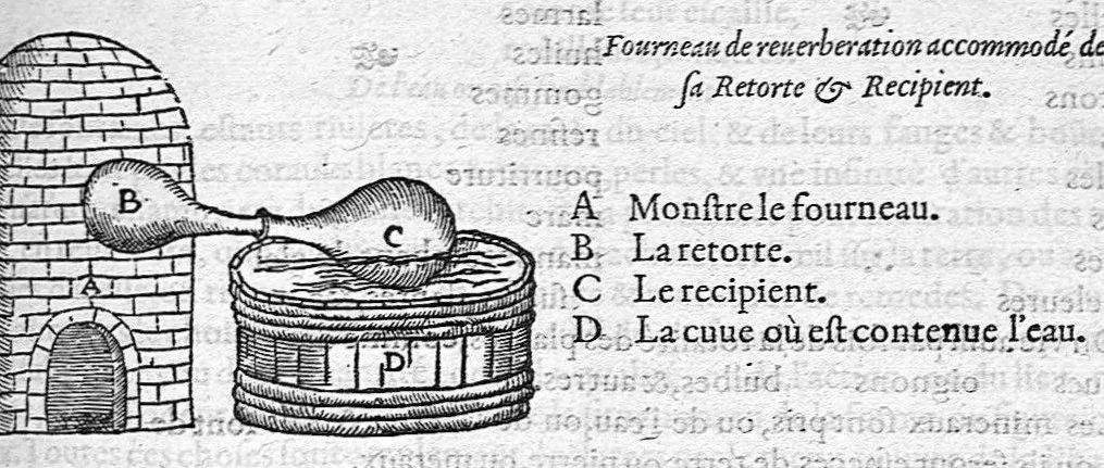 An illustration from Les Oeuvres d’Ambroise Paré, conseiller et premier chirurgien du roy, divisées en vingt-sept livres : avec les figures et portraicts tant de l’Anatomie que des instruments de chirurgie et de plusieurs monstres : reveuz et augmentez par l’autheur pour la seconde Edition, Paris,, 1579, leaf 1107
