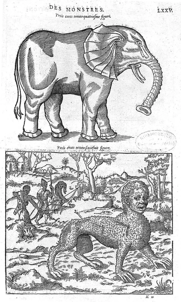 An illustration from Les Oeuvres d’Ambroise Paré, conseiller et premier chirurgien du roy, divisées en vingt-sept livres : avec les figures et portraicts tant de l’Anatomie que des instruments de chirurgie et de plusieurs monstres : reveuz et augmentez par l’autheur pour la seconde Edition, Paris,, 1579, leaf 1311