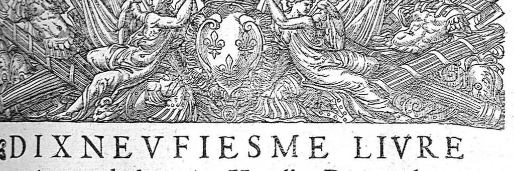 An illustration from Les Oeuvres d’Ambroise Paré, conseiller et premier chirurgien du roy, divisées en vingt-sept livres : avec les figures et portraicts tant de l’Anatomie que des instruments de chirurgie et de plusieurs monstres : reveuz et augmentez par l’autheur pour la seconde Edition, Paris,, 1579, leaf 713
