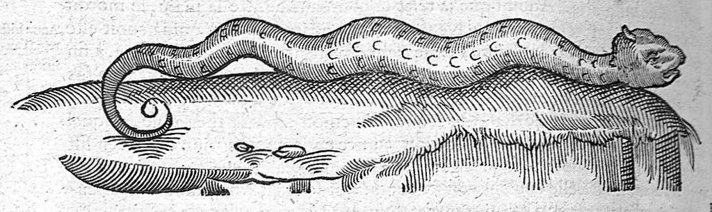 An illustration from Les Oeuvres d’Ambroise Paré, conseiller et premier chirurgien du roy, divisées en vingt-sept livres : avec les figures et portraicts tant de l’Anatomie que des instruments de chirurgie et de plusieurs monstres : reveuz et augmentez par l’autheur pour la seconde Edition, Paris,, 1579, leaf 754