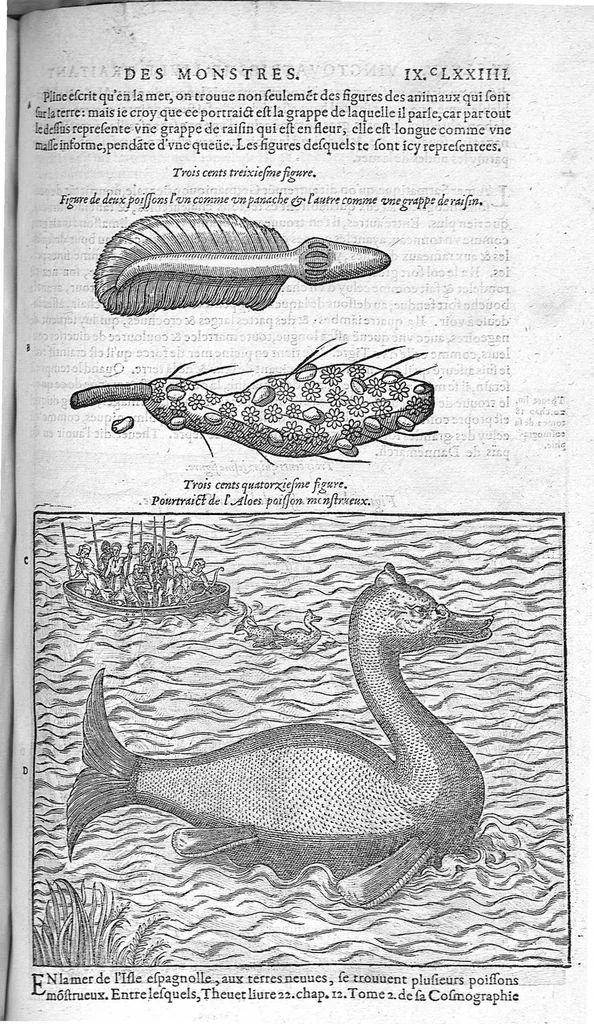 An illustration from Les Oeuvres d’Ambroise Paré, conseiller et premier chirurgien du roy, divisées en vingt-sept livres : avec les figures et portraicts tant de l’Anatomie que des instruments de chirurgie et de plusieurs monstres : reveuz et augmentez par l’autheur pour la seconde Edition, Paris,, 1579, leaf 999