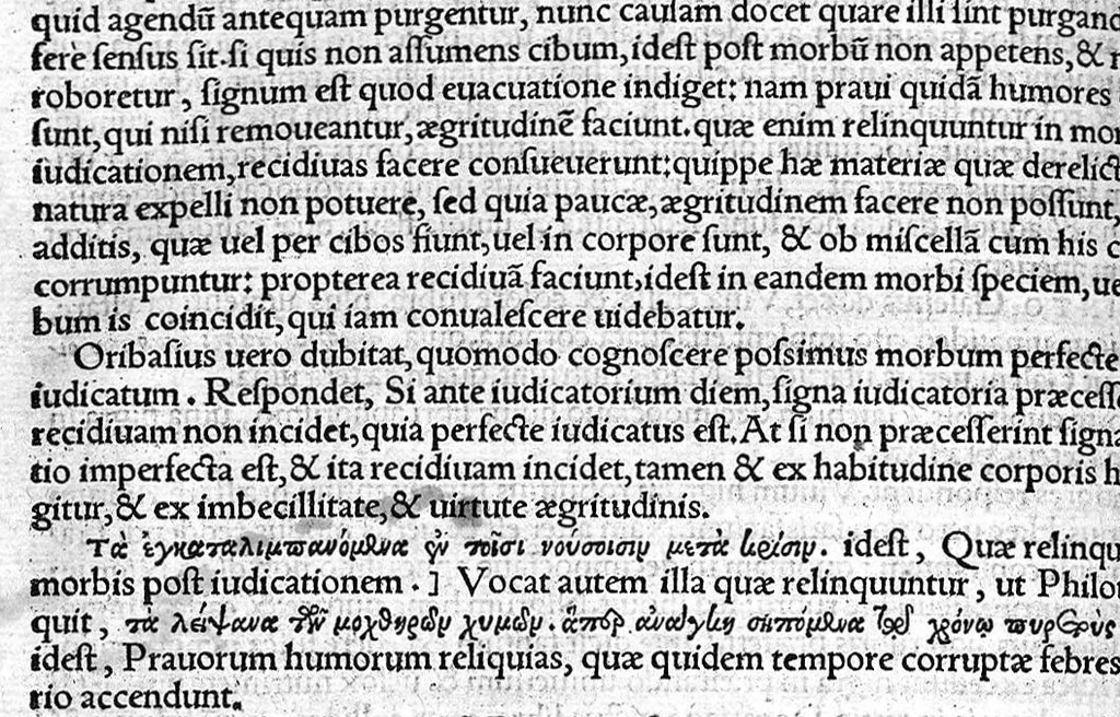 An illustration from Antonii Musae Brasavoli medici ferrariensis in octo libros aphorismorum Hippocratis et Galeni, Commentaria et Annotationes, 1541, leaf 173
