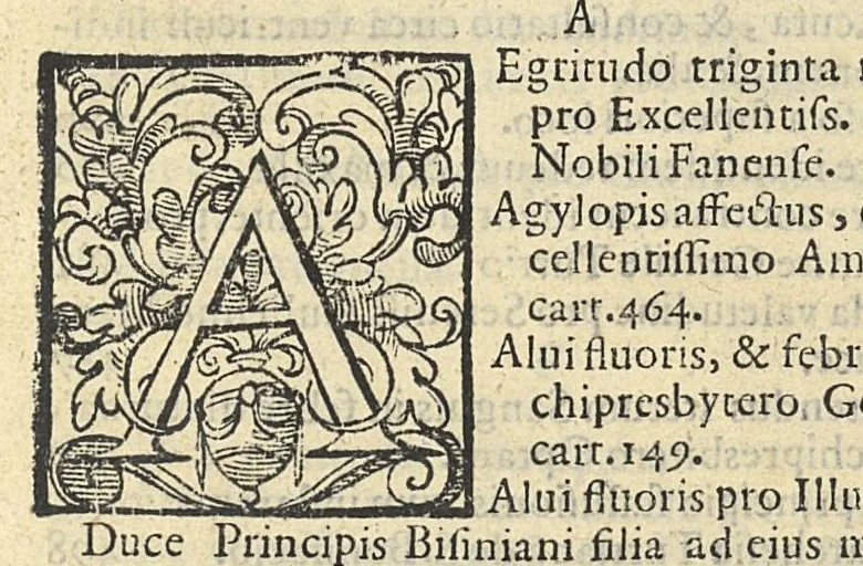An illustration from Consilia medicinalia in quibus universa praxis medica..., 1610, leaf 4