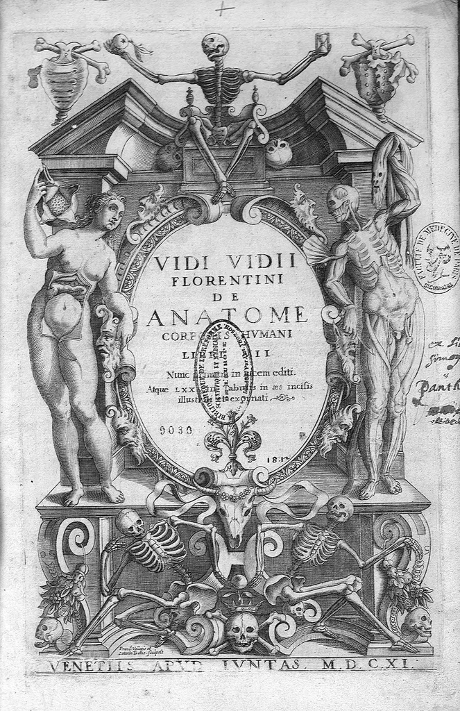 An illustration from De anatome corporis humani. Libri VII, 1611, leaf 0