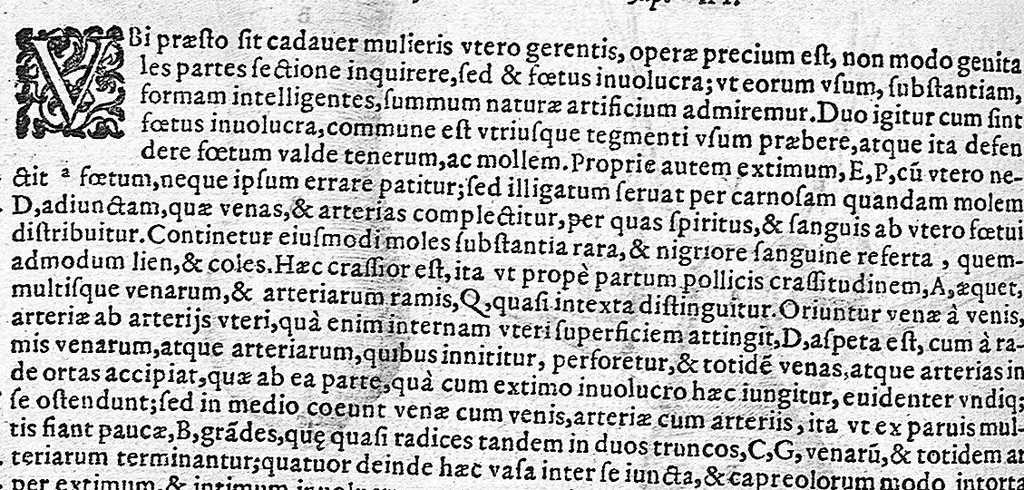 An illustration from De anatome corporis humani. Libri VII, 1611, leaf 296