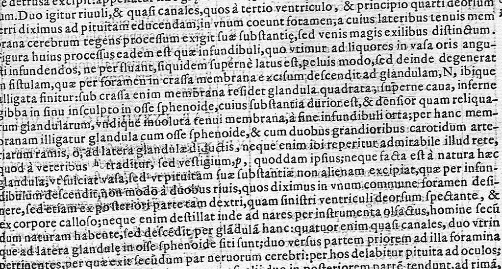 An illustration from De anatome corporis humani. Libri VII, 1611, leaf 323