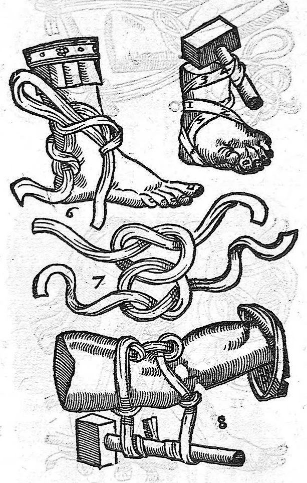 An illustration from De anatome corporis humani. Libri VII, 1611, leaf 433