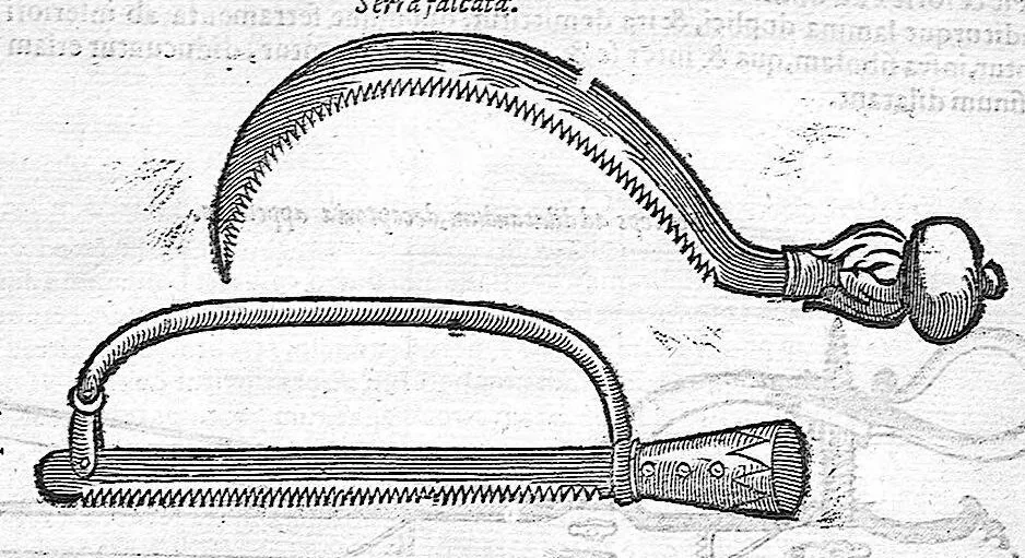An illustration from De anatome corporis humani. Libri VII, 1611, leaf 466