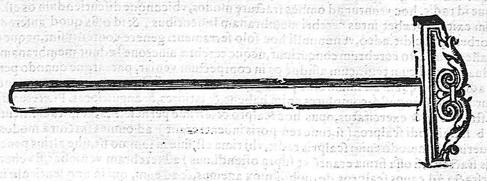 An illustration from De anatome corporis humani. Libri VII, 1611, leaf 472