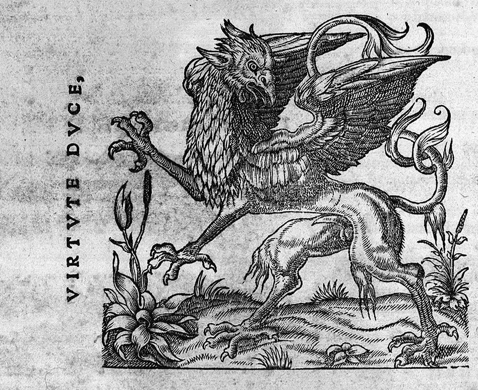 An illustration from Ennarationum medicinalium libri sex..., 1554, leaf 531