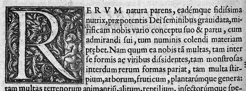 An illustration from Observationum medicinalium libri sex,..., 1573, leaf 77