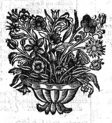 An illustration from Oeuvres de chirurgie, 1649, leaf 86