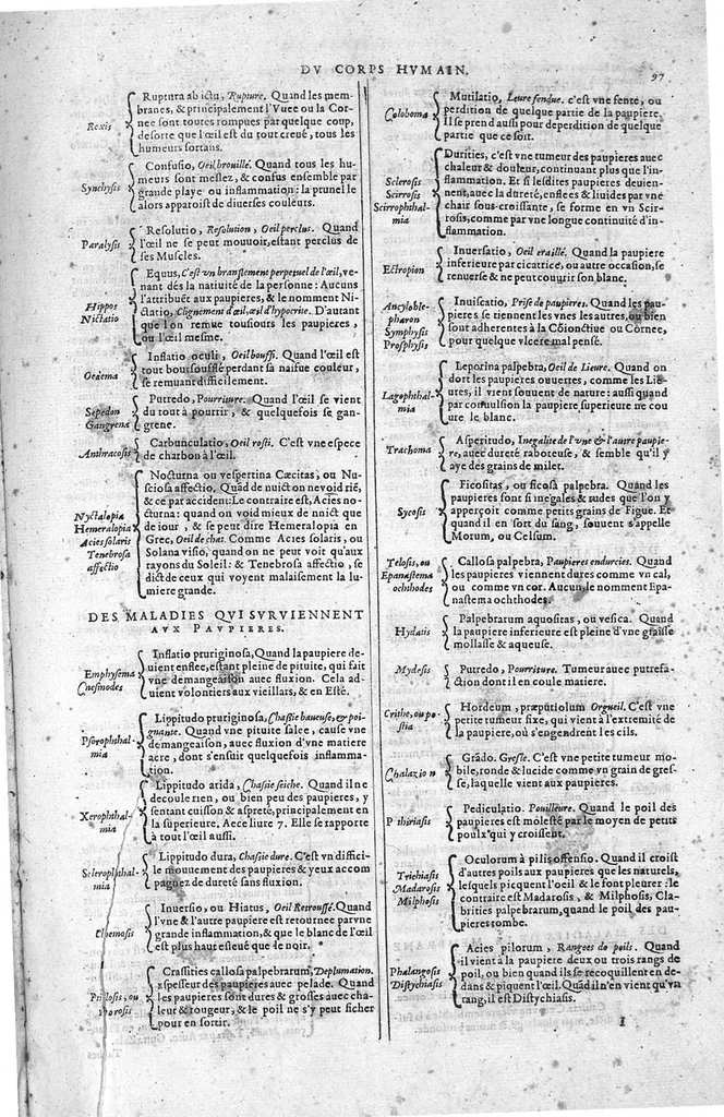 An illustration from Tables anatomiques avec les pourtraicts et declaration d'iceulx ensemble un denombrement de cinq cens maladies diverses, au Roy par Jac. Guillemeau d’Orleans, Chirurgien du Roy et Juré a Paris, [suivi de] Anatomie universelle du corps humain en tables methodiques. Avec les portraicts et figures de chacune des parties et declaration d’icelles. Divisee en sept livres ensemble un denombrement de cinq cens maladies diverses. Au Roy par Jaques Guillemeau, chirurgien du roy, et jure a Paris,, 1586, leaf 152