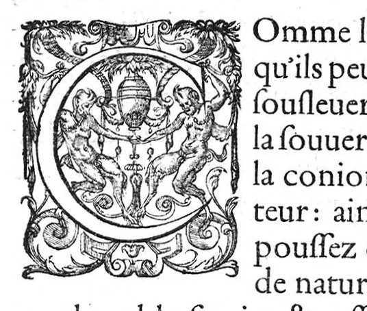 An illustration from Tables anatomiques avec les pourtraicts et declaration d'iceulx ensemble un denombrement de cinq cens maladies diverses, au Roy par Jac. Guillemeau d’Orleans, Chirurgien du Roy et Juré a Paris, [suivi de] Anatomie universelle du corps humain en tables methodiques. Avec les portraicts et figures de chacune des parties et declaration d’icelles. Divisee en sept livres ensemble un denombrement de cinq cens maladies diverses. Au Roy par Jaques Guillemeau, chirurgien du roy, et jure a Paris,, 1586, leaf 42