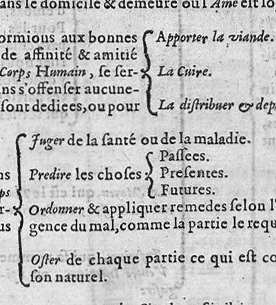 An illustration from Tables anatomiques avec les pourtraicts et declaration d'iceulx ensemble un denombrement de cinq cens maladies diverses, au Roy par Jac. Guillemeau d’Orleans, Chirurgien du Roy et Juré a Paris, [suivi de] Anatomie universelle du corps humain en tables methodiques. Avec les portraicts et figures de chacune des parties et declaration d’icelles. Divisee en sept livres ensemble un denombrement de cinq cens maladies diverses. Au Roy par Jaques Guillemeau, chirurgien du roy, et jure a Paris,, 1586, leaf 52