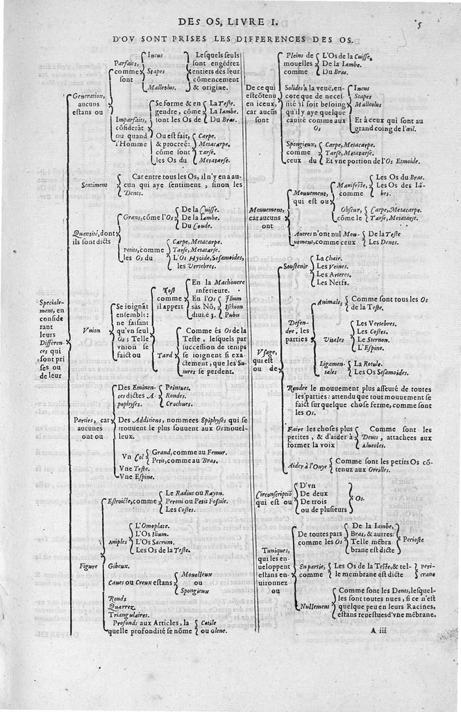 An illustration from Tables anatomiques avec les pourtraicts et declaration d'iceulx ensemble un denombrement de cinq cens maladies diverses, au Roy par Jac. Guillemeau d’Orleans, Chirurgien du Roy et Juré a Paris, [suivi de] Anatomie universelle du corps humain en tables methodiques. Avec les portraicts et figures de chacune des parties et declaration d’icelles. Divisee en sept livres ensemble un denombrement de cinq cens maladies diverses. Au Roy par Jaques Guillemeau, chirurgien du roy, et jure a Paris,, 1586, leaf 56