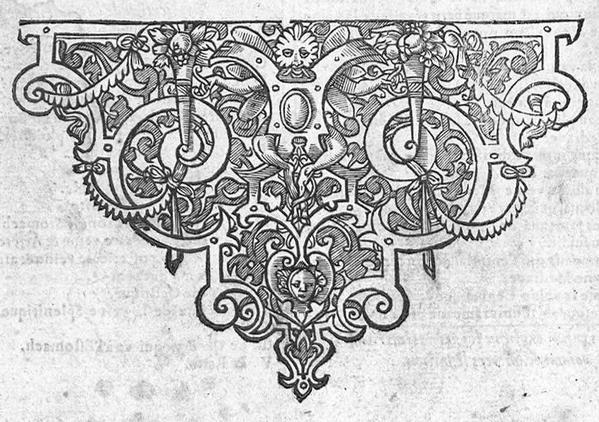 An illustration from Tables anatomiques avec les pourtraicts et declaration d'iceulx ensemble un denombrement de cinq cens maladies diverses, au Roy par Jac. Guillemeau d’Orleans, Chirurgien du Roy et Juré a Paris, [suivi de] Anatomie universelle du corps humain en tables methodiques. Avec les portraicts et figures de chacune des parties et declaration d’icelles. Divisee en sept livres ensemble un denombrement de cinq cens maladies diverses. Au Roy par Jaques Guillemeau, chirurgien du roy, et jure a Paris,, 1586, leaf 99